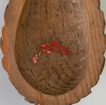 利斉作 吸江齊好 松子香合  碌々斉書付画像